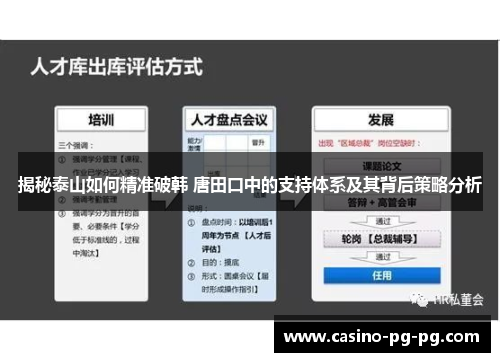 揭秘泰山如何精准破韩 唐田口中的支持体系及其背后策略分析